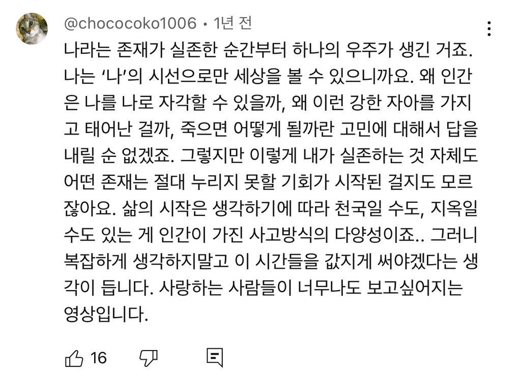 예전엔 아이돌이나 애니나 취미에 미친듯이 몰두하는 사람들 한심해보였는데 요즘은 좋아보임 | 인스티즈