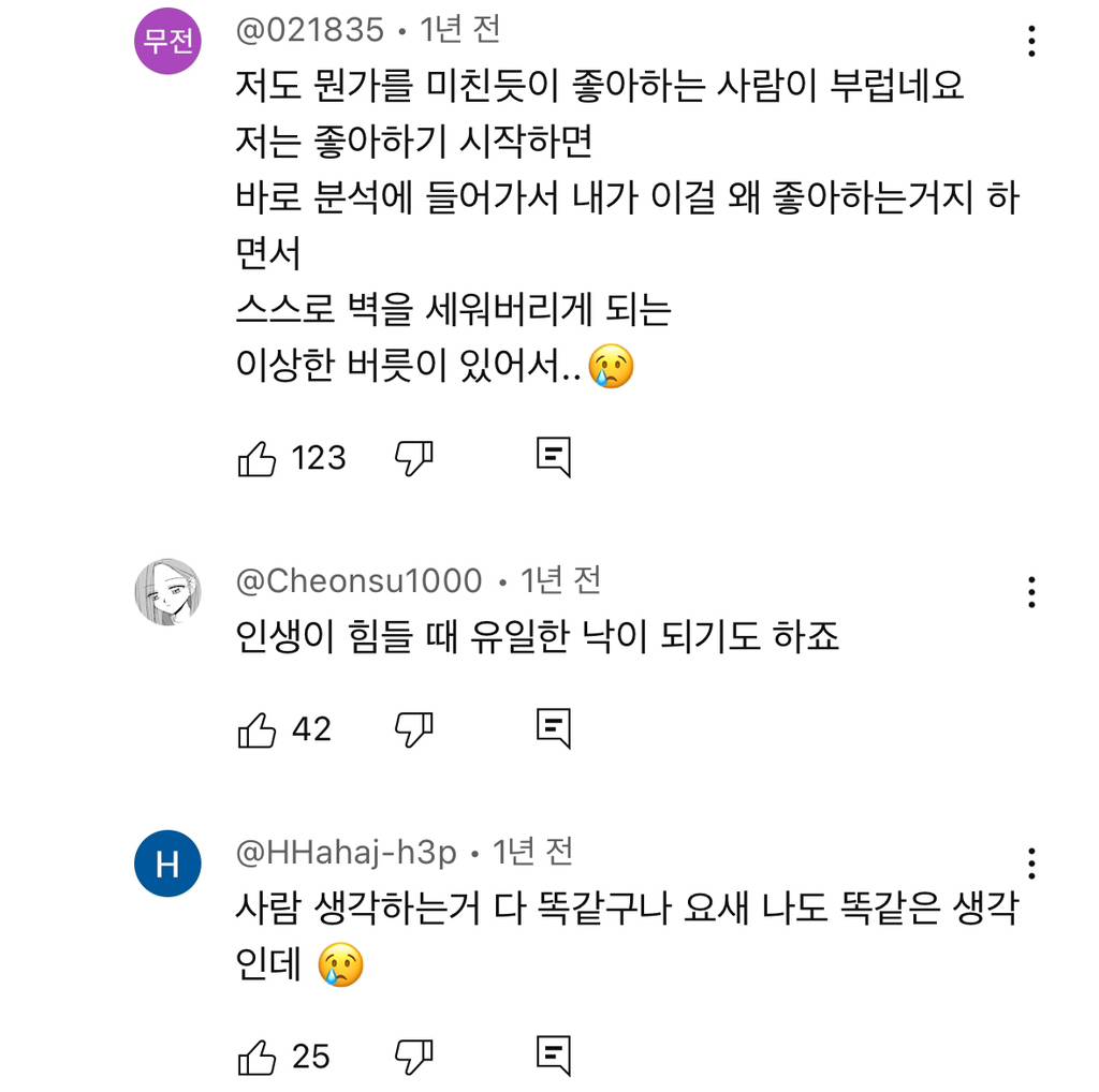 예전엔 아이돌이나 애니나 취미에 미친듯이 몰두하는 사람들 한심해보였는데 요즘은 좋아보임 | 인스티즈