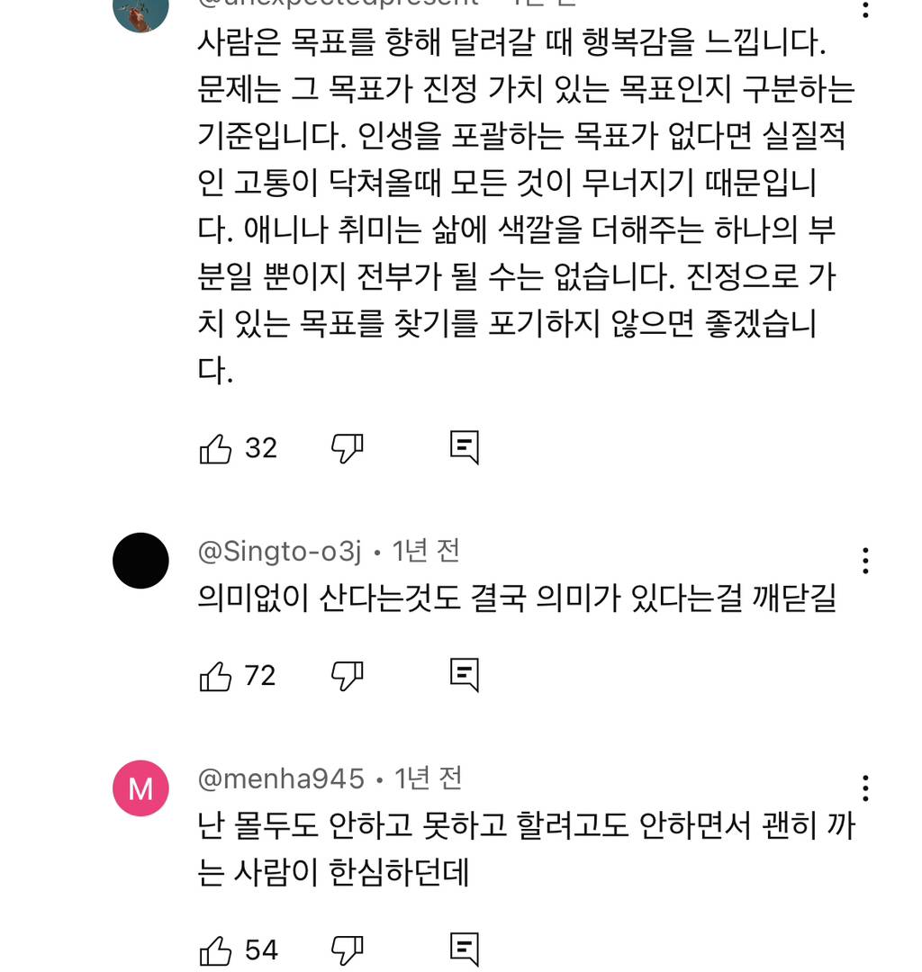 예전엔 아이돌이나 애니나 취미에 미친듯이 몰두하는 사람들 한심해보였는데 요즘은 좋아보임 | 인스티즈