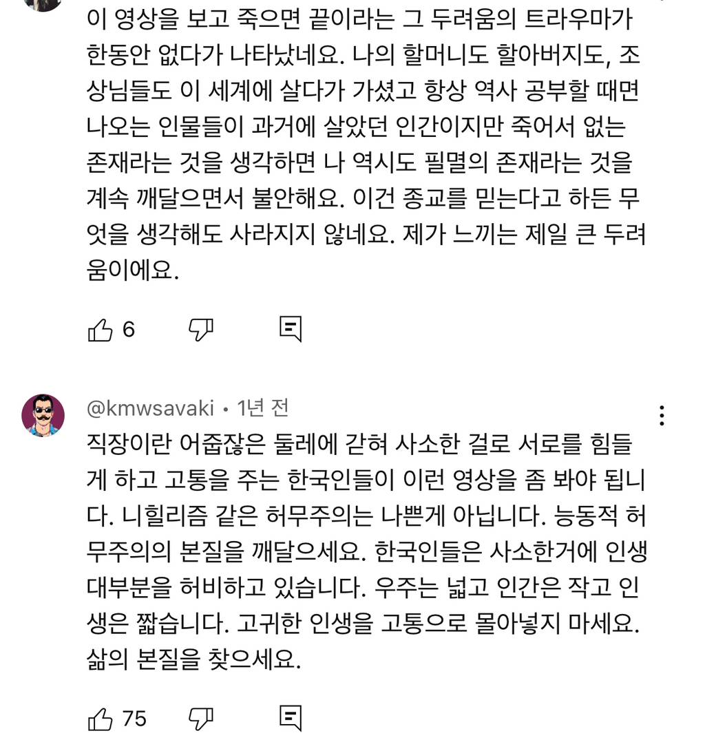 예전엔 아이돌이나 애니나 취미에 미친듯이 몰두하는 사람들 한심해보였는데 요즘은 좋아보임 | 인스티즈