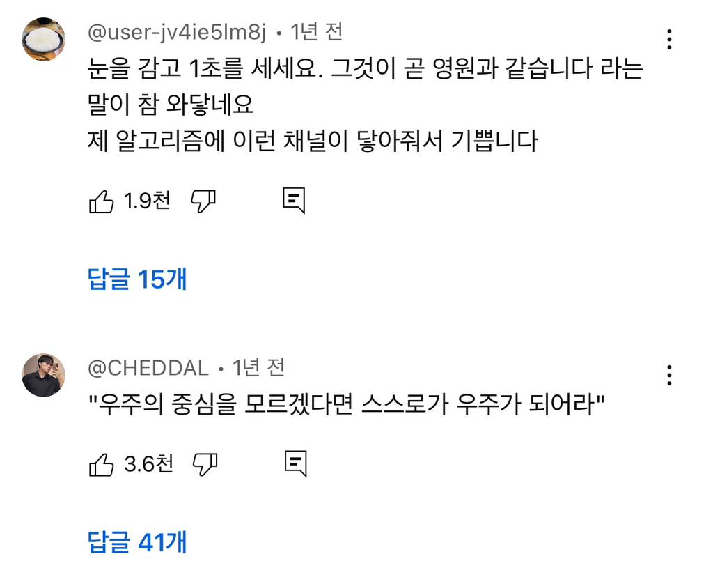 예전엔 아이돌이나 애니나 취미에 미친듯이 몰두하는 사람들 한심해보였는데 요즘은 좋아보임 | 인스티즈