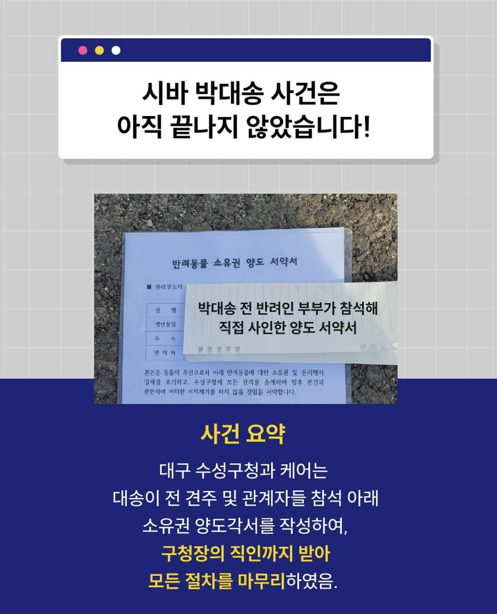 시바 박대송 파양•학대 사건 근황 | 인스티즈