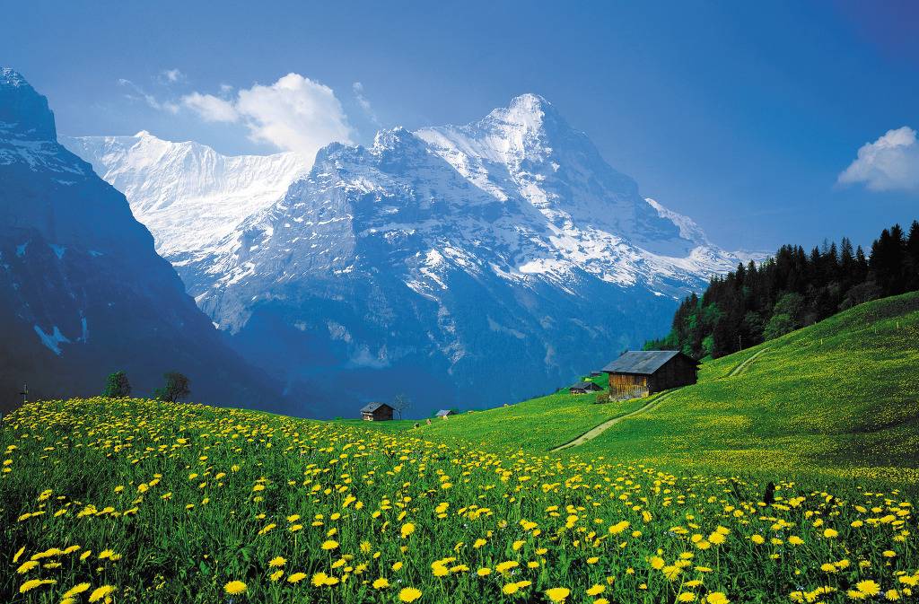 스위스에 한번 다녀오면 절대 잊지 못하는 이유 (데이터) | 인스티즈