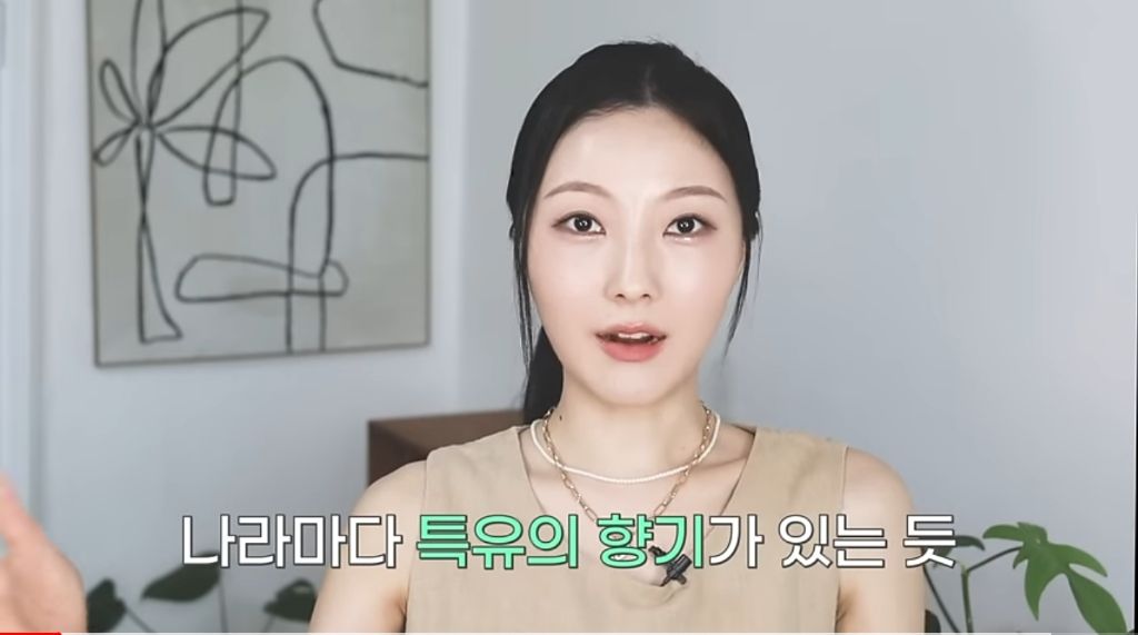 어느 유튜버의 미국 냄새를 찾기 위한 광기 여정 | 인스티즈