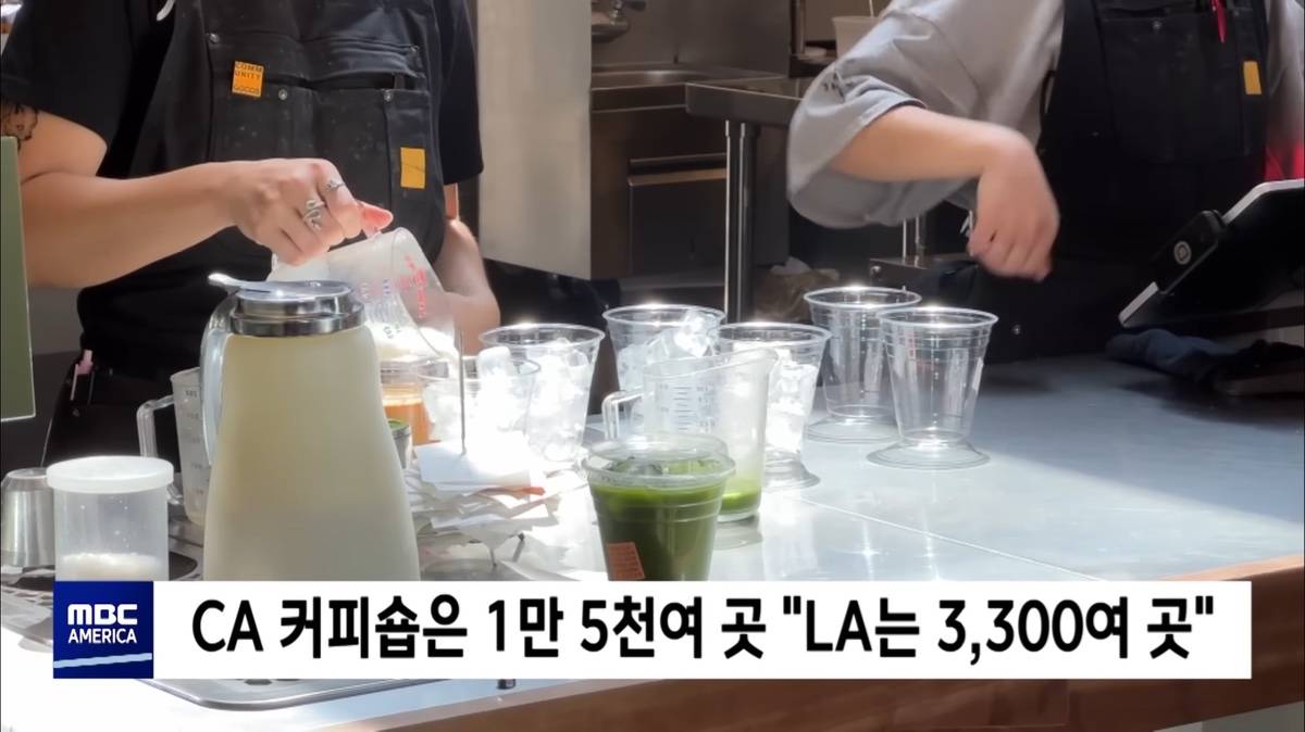 미국에서 잘나가는 한국인 바리스타들 | 인스티즈
