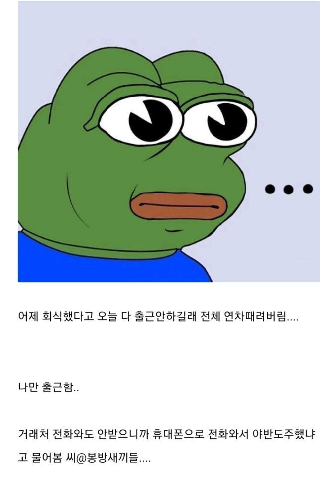 울 회사 중소인데 진짜 개 편함 | 인스티즈