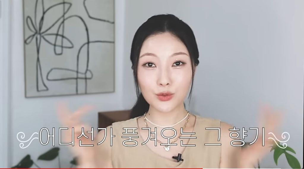 어느 유튜버의 미국 냄새를 찾기 위한 광기 여정 | 인스티즈