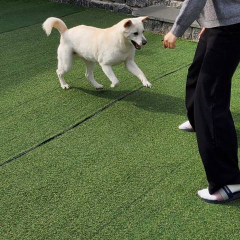 우리 애 아빠 보는 눈빛 봐 | 인스티즈