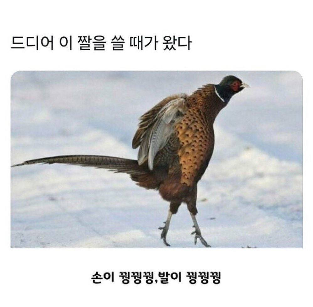 오늘 날씨.jpg | 인스티즈