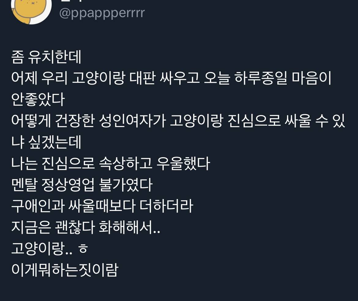 어떻게 건장한 성인여자가 고양이랑 진심으로 싸울 수 있냐 | 인스티즈