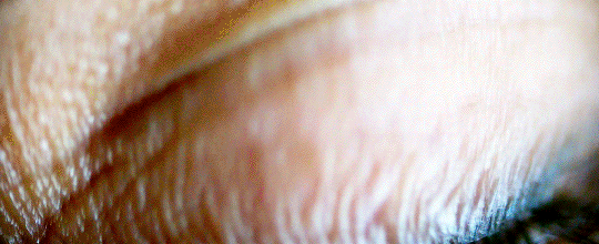 흥행 대박났는데 사람들이 망했다고 생각하는 영화 최고봉.gif | 인스티즈