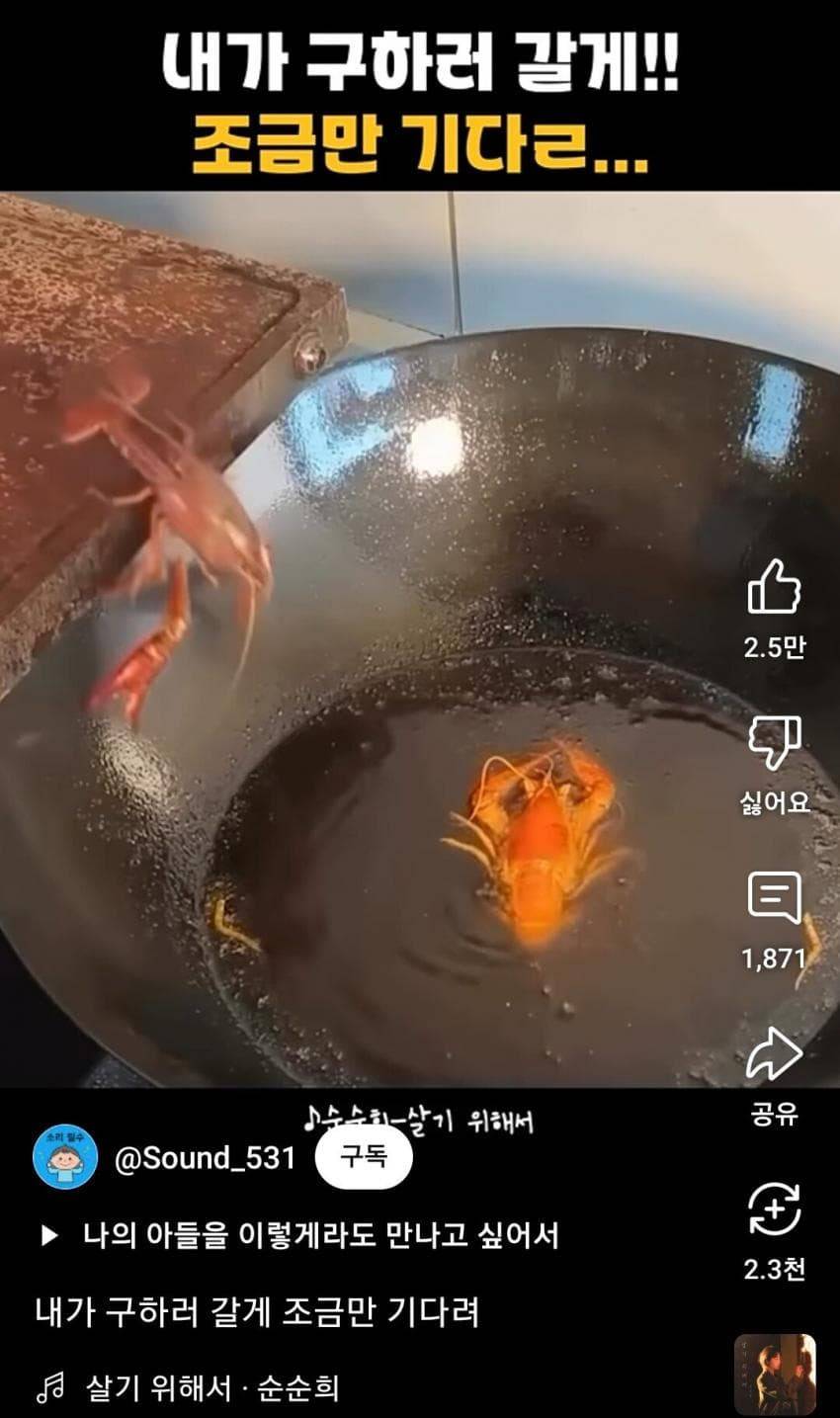 쇼츠 바이럴 빌런 순순희 근황.jpg | 인스티즈