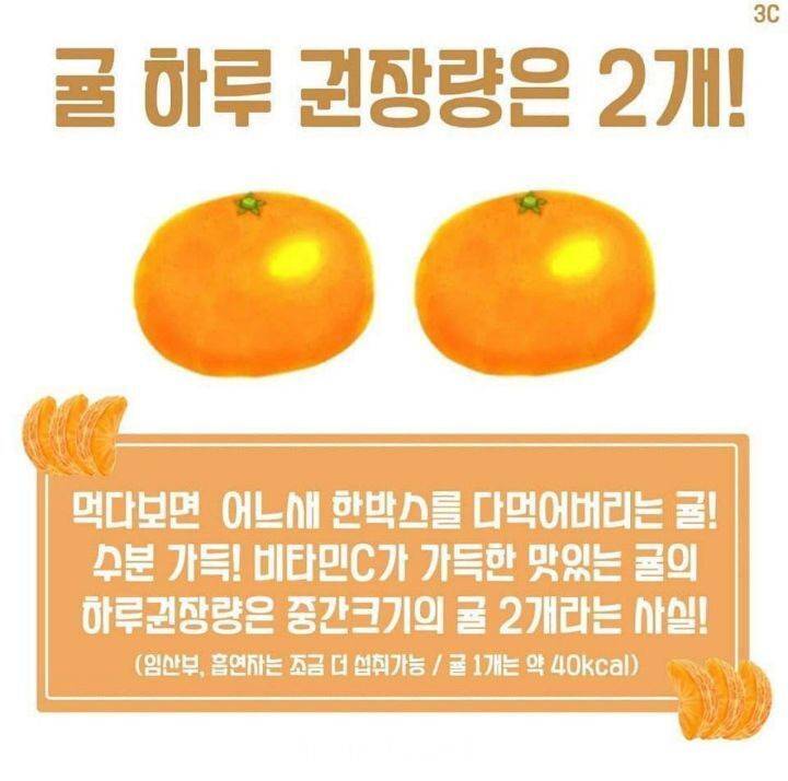 전문가가 얘기하는 귤 하루 권장량 .jpg | 인스티즈