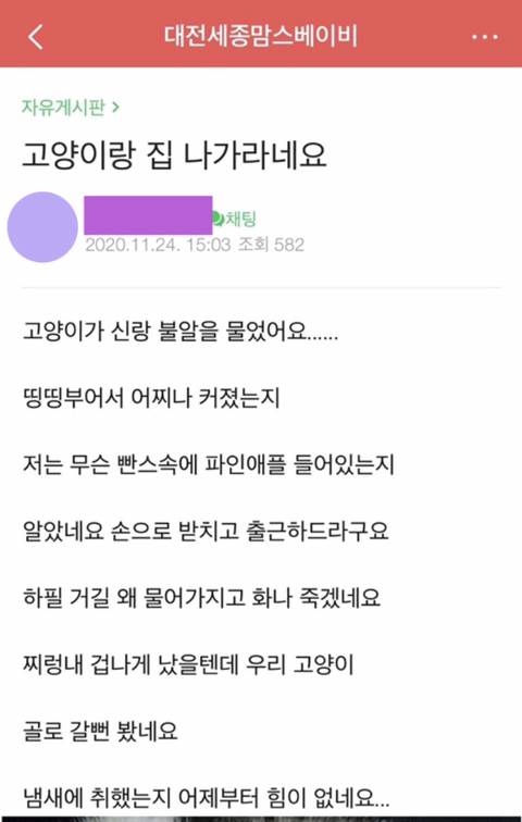 고양이랑 집 나가라네요 | 인스티즈