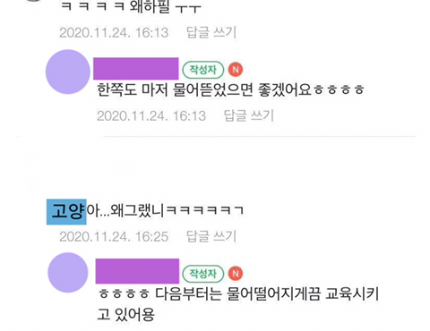 고양이랑 집 나가라네요 | 인스티즈