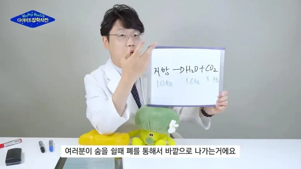 살이 빠지는 원리.jpg | 인스티즈