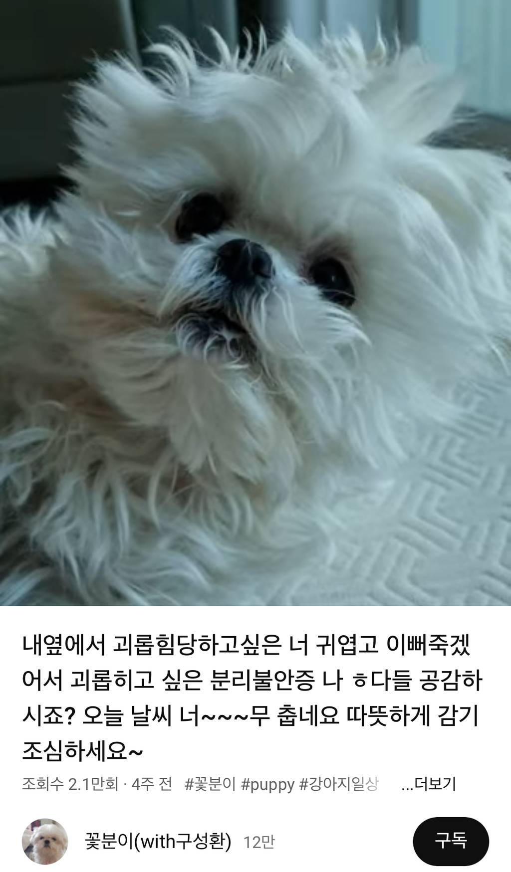 구성환, '꽃분이 방치' 논란 입 열었다 "왜 목욕 안 시키냐고…깨끗하게 키운다" ('유퀴즈') | 인스티즈