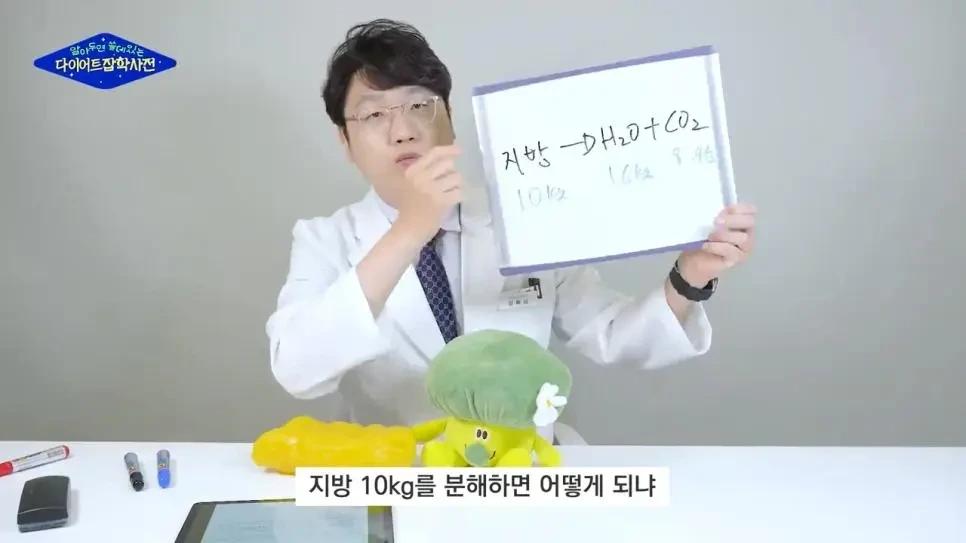 살이 빠지는 원리.jpg | 인스티즈