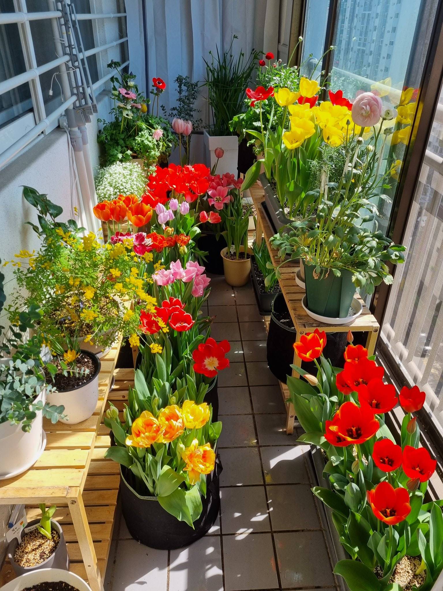 국립산림과학원이 개최하는 귀여운 대회 | 인스티즈