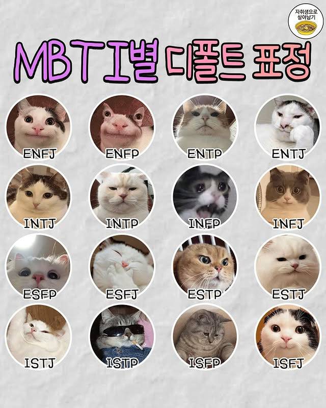 MBTI별 디폴트 표정.jpg | 인스티즈
