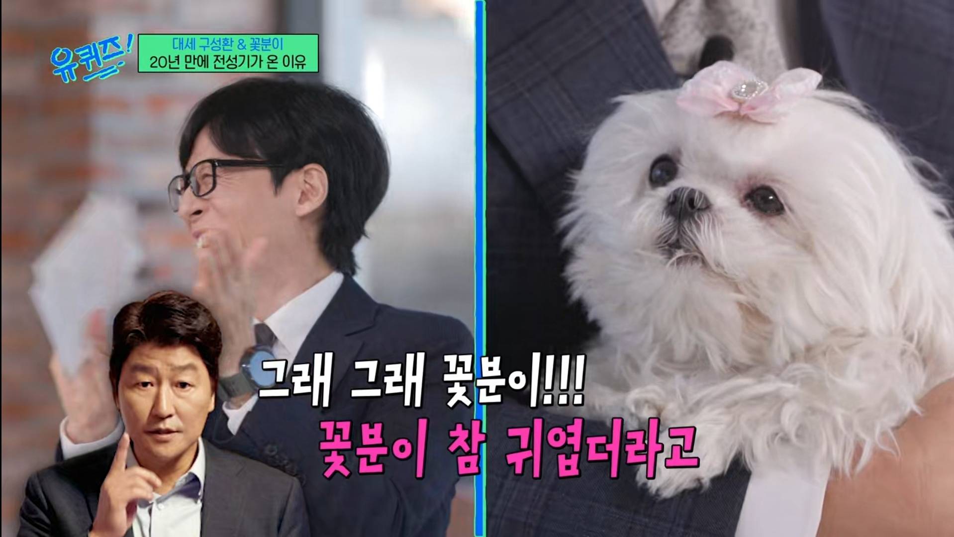 어제 유퀴즈 나온 꽃분이 | 인스티즈