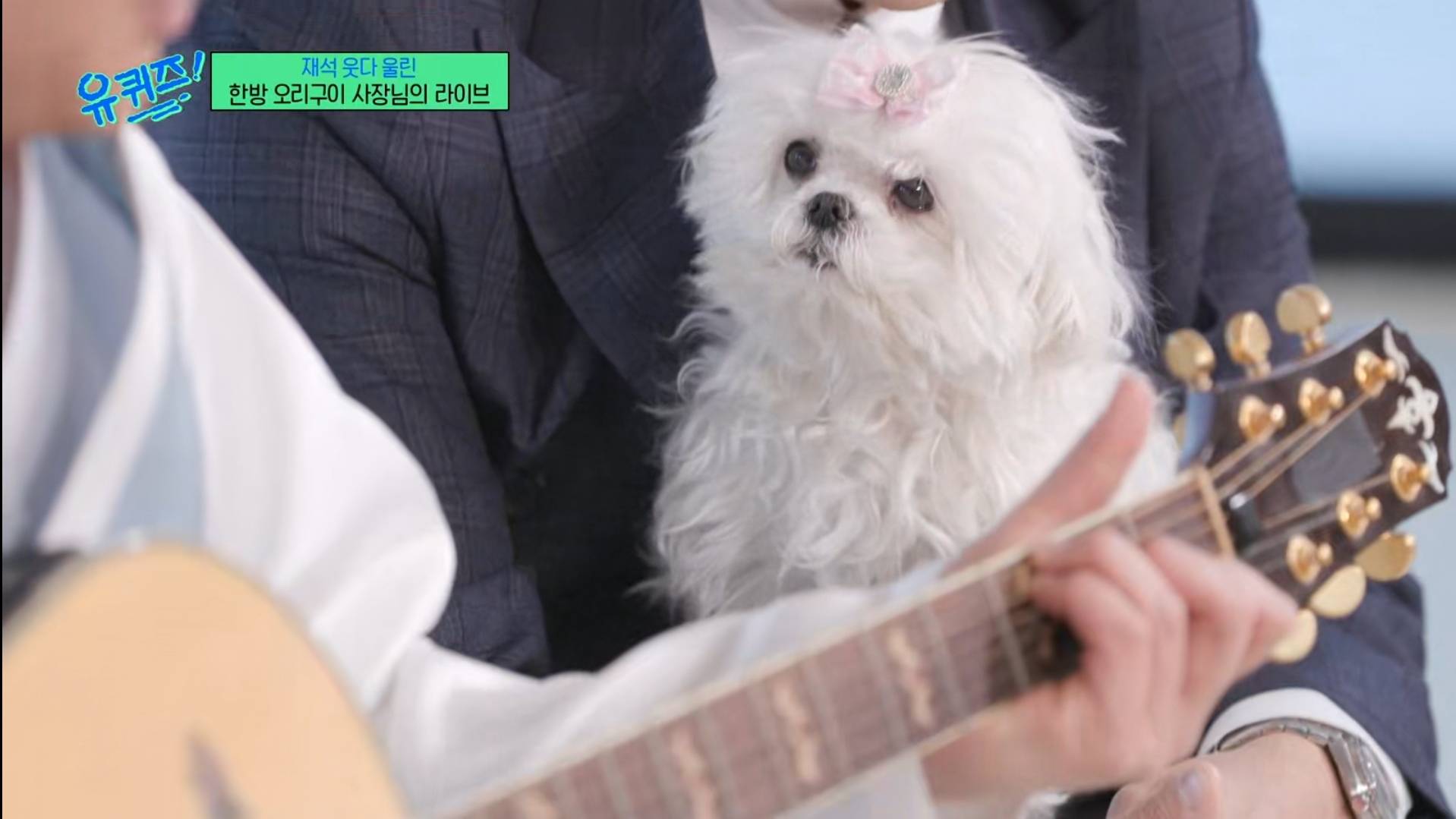 어제 유퀴즈 나온 꽃분이 | 인스티즈