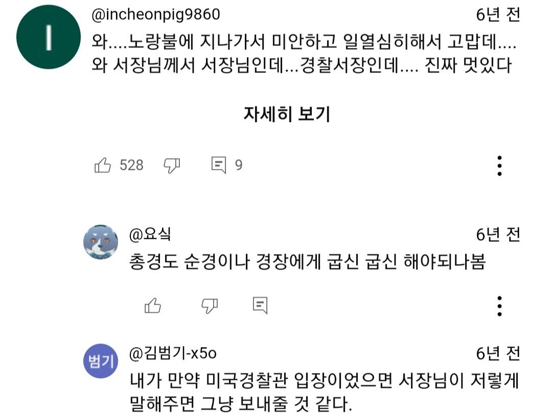 실제상황) 자기 경찰서장을 신호위반으로 잡아버린 교통순경 | 인스티즈