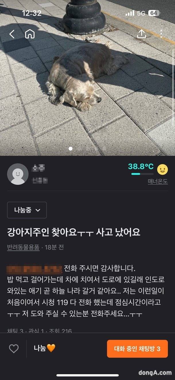 한파 속 교통사고 강아지에 패딩 벗어 덮어준 군인 | 인스티즈