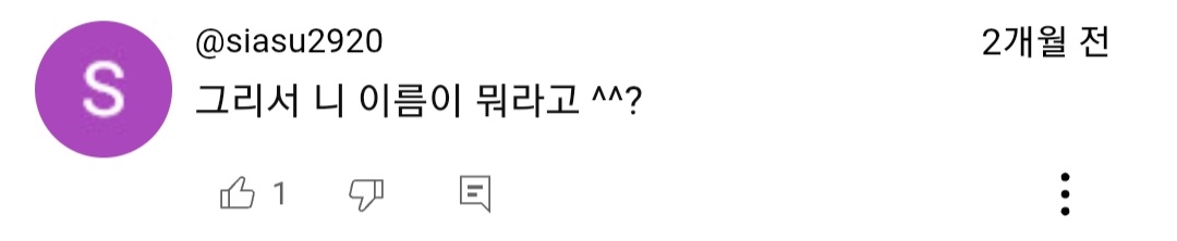 실제상황) 자기 경찰서장을 신호위반으로 잡아버린 교통순경 | 인스티즈