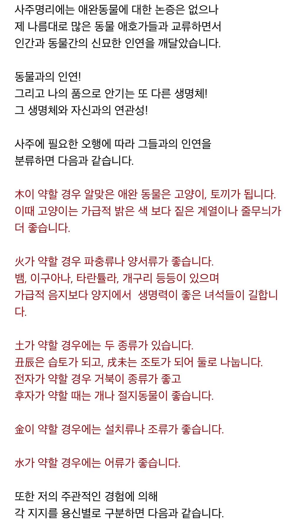 사주에 따라 자신과 잘 어울리는 애완동물 | 인스티즈