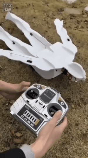 사람모양 RC 비행기 | 인스티즈