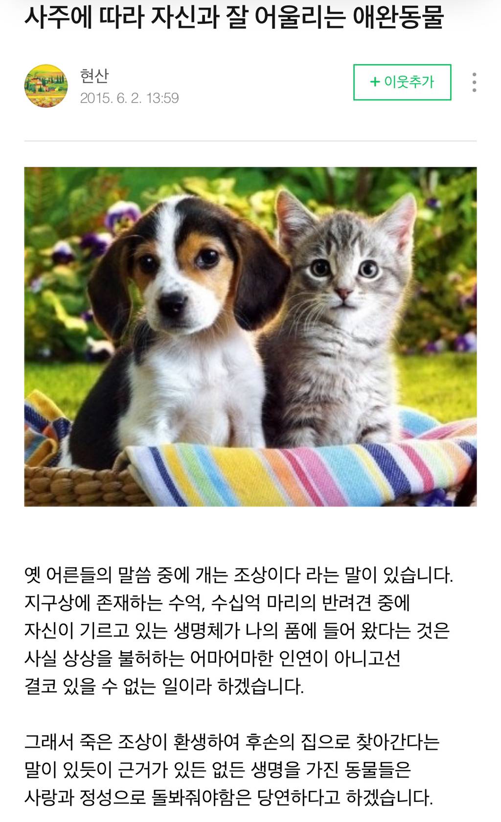 사주에 따라 자신과 잘 어울리는 애완동물 | 인스티즈