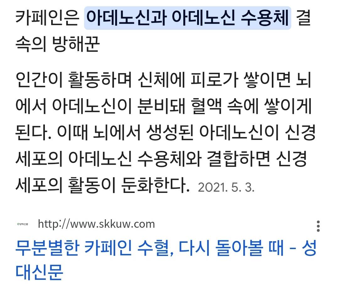 카페인은 뇌의 수용체와 관련이 있어서 "지쳤다" 는 신호를 차단하니까 피로를 느끼지 못하게 된다... | 인스티즈