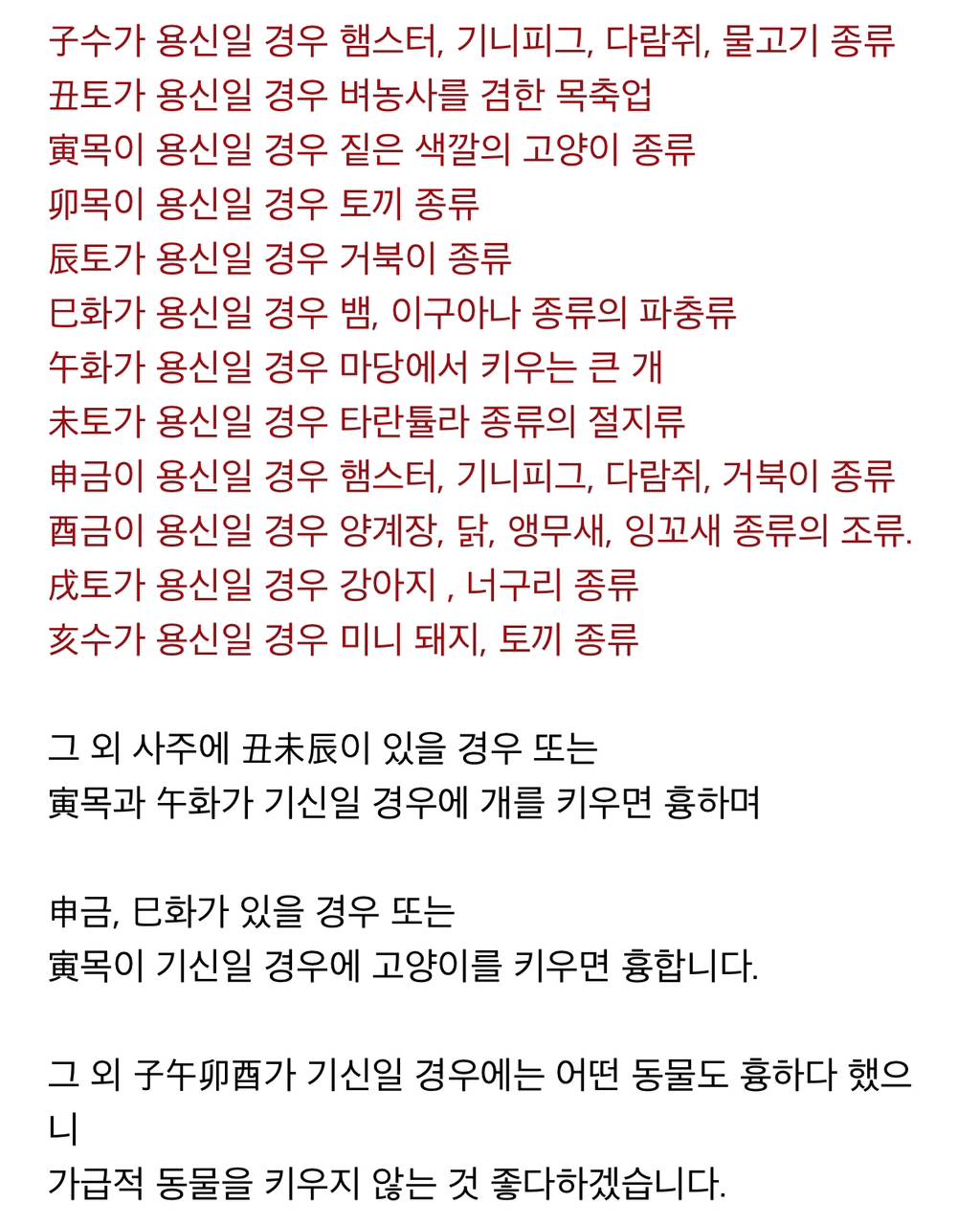 사주에 따라 자신과 잘 어울리는 애완동물 | 인스티즈