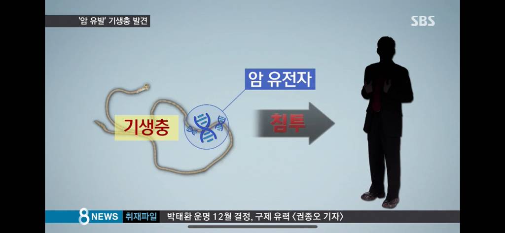 구충제 안먹으면 암걸린다 | 인스티즈