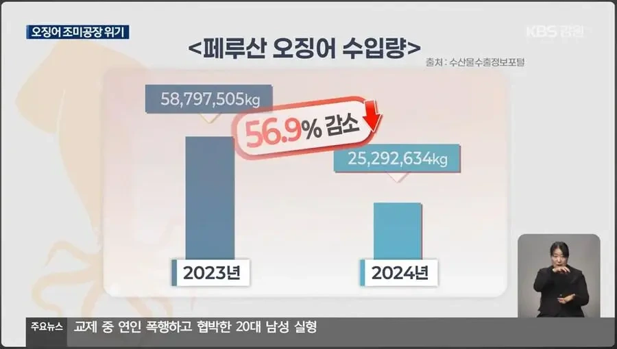 진미채 오징어 멸망각 근황 | 인스티즈