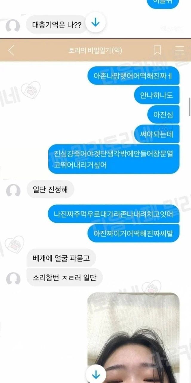 자소서 싹 다 날아갔는데 친구가 진정시켜줌 | 인스티즈