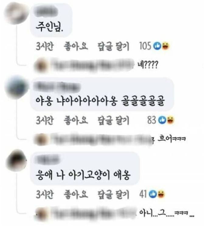 이거 회 떠서 고양이 줘도 되나요? | 인스티즈