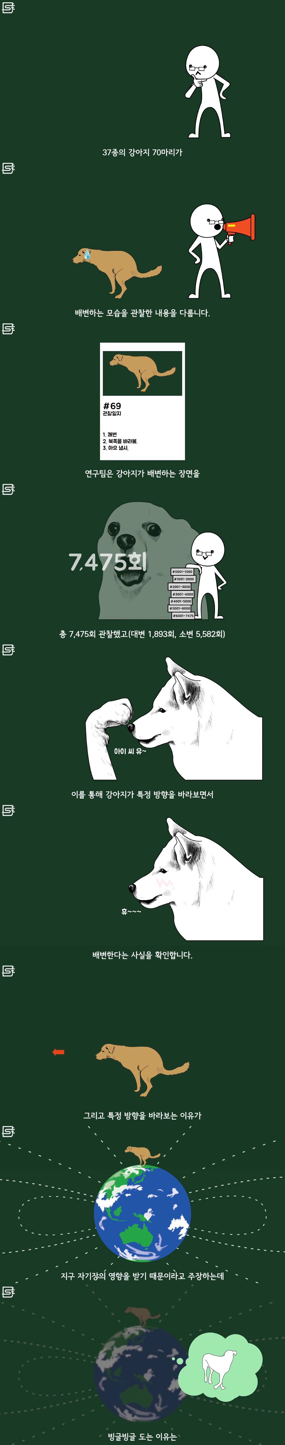 강아지는 왜 똥을 싸기 전에 빙글빙글 돌까? | 인스티즈