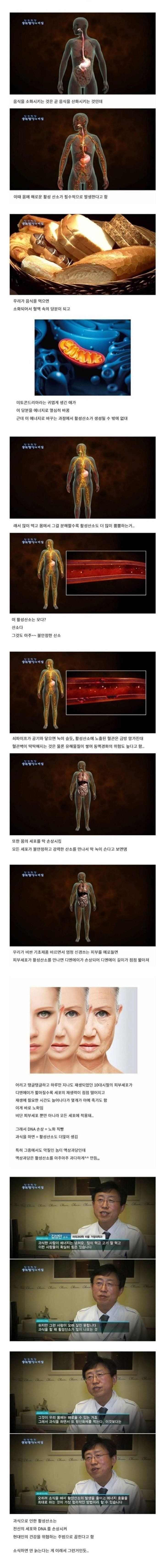 과식이 노화 부스터인 이유 | 인스티즈