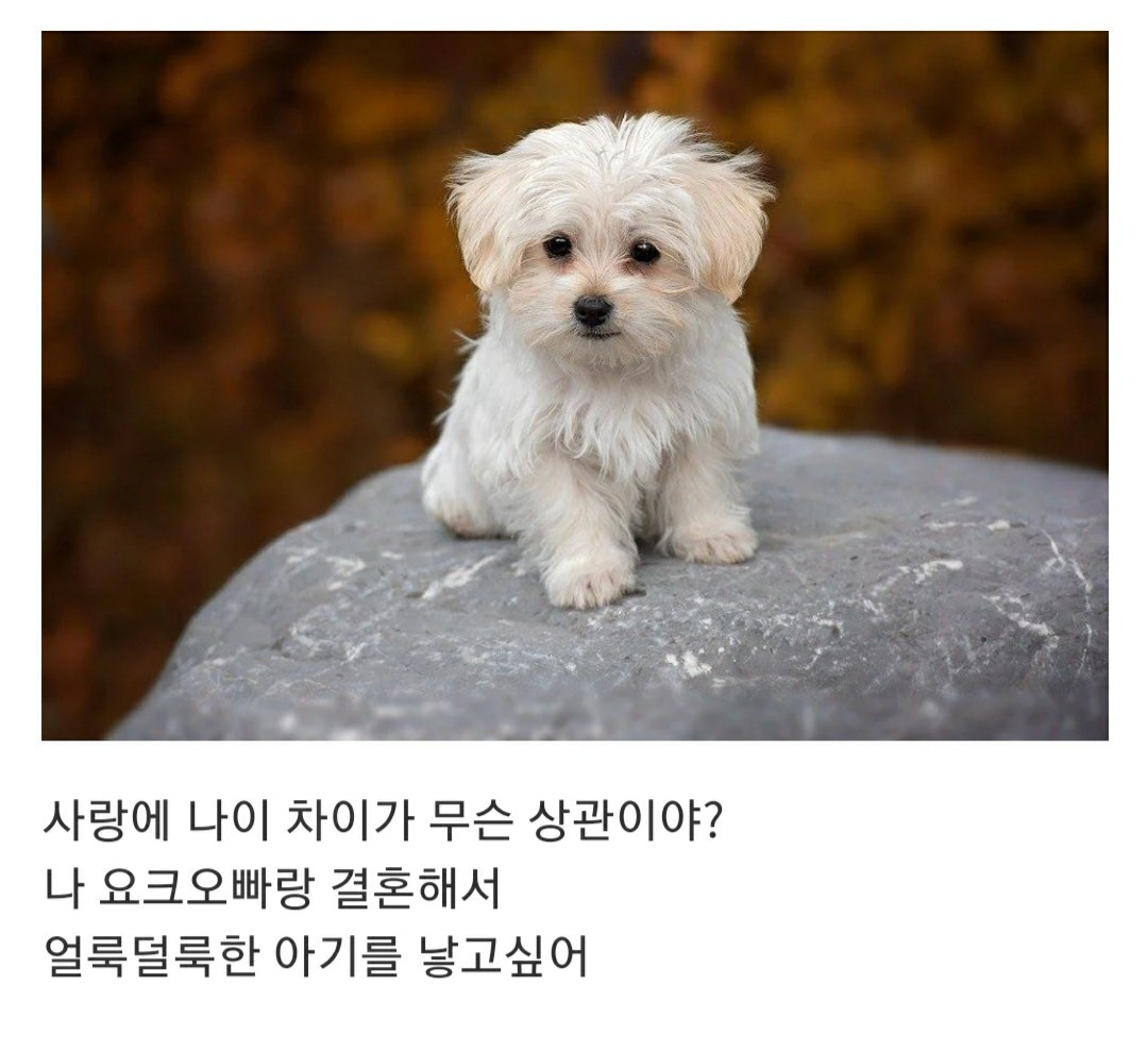 언니....... 나 그 오빠랑 결혼하고 싶어.............. | 인스티즈