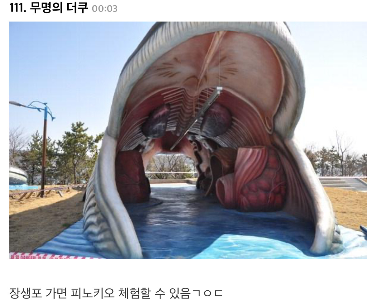 나는 저런 촌스러움이 국내여행 나름의 아름다움이라고 생각함...twt | 인스티즈