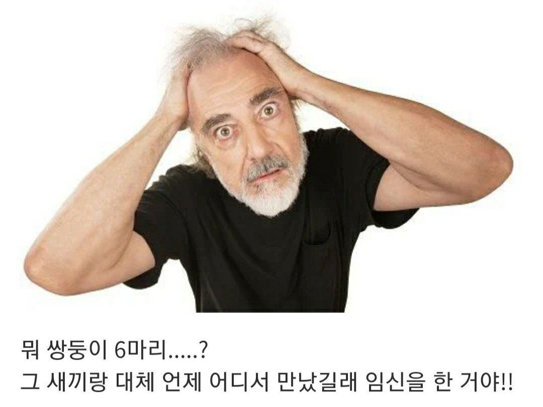 언니....... 나 그 오빠랑 결혼하고 싶어.............. | 인스티즈