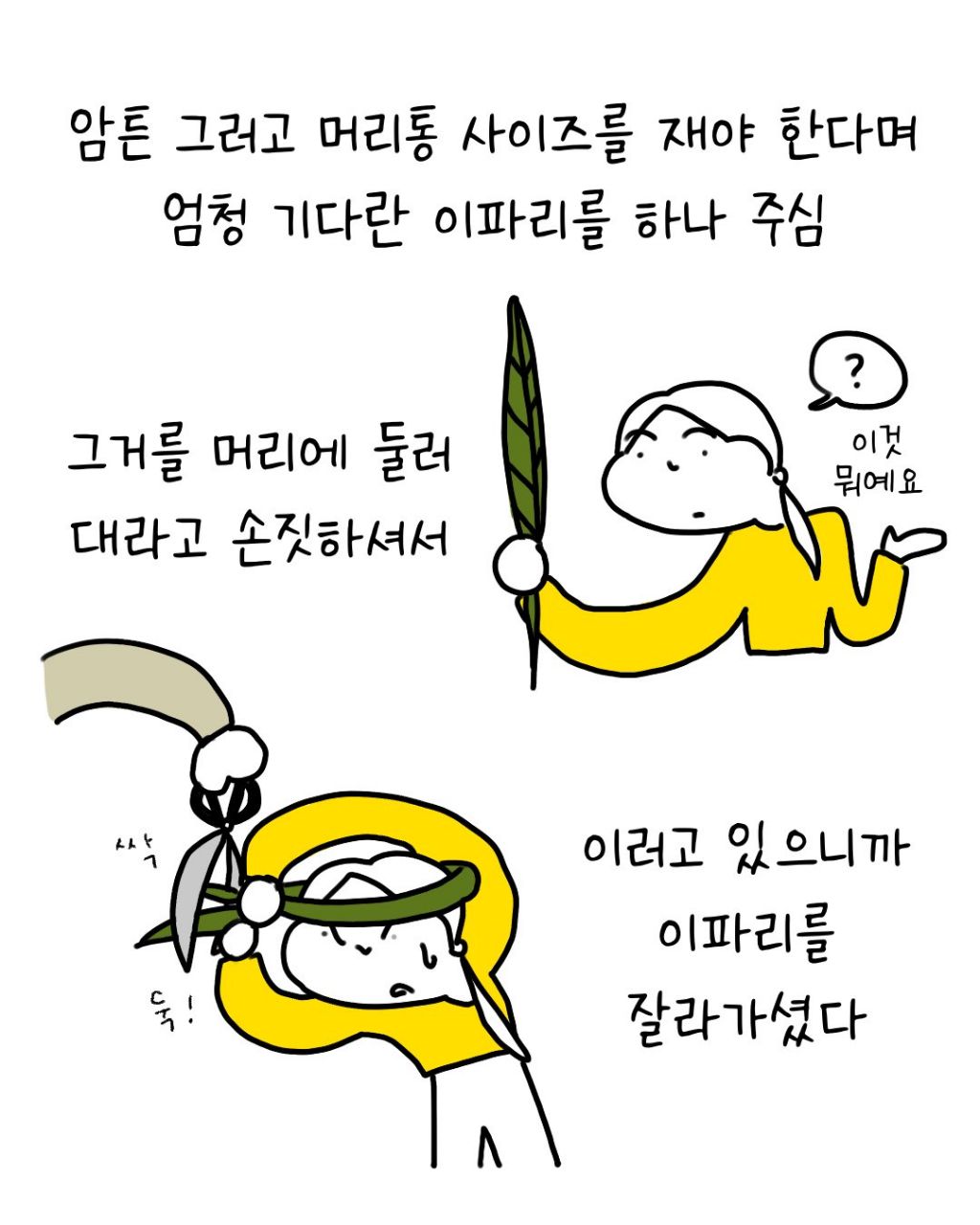 졸업하면 학사모 대신 꽃을 씌어주는 나라 | 인스티즈