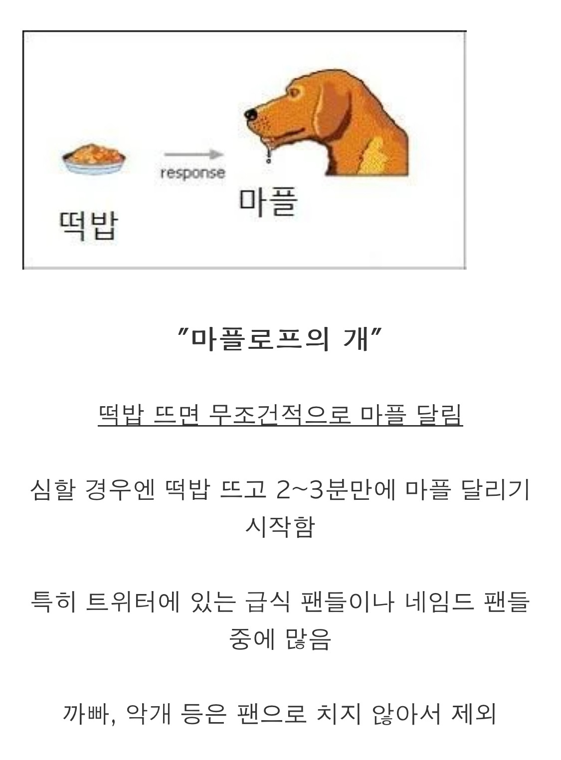 아이돌 떡밥 떴을 때 같은 팬 반응 중에 제일 짜증나는 유형.jpg | 인스티즈