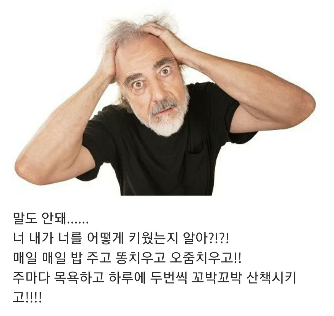 언니....... 나 그 오빠랑 결혼하고 싶어.............. | 인스티즈