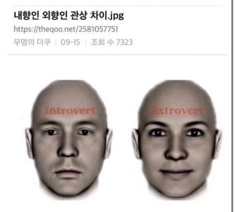 내향인 외향인 관상차이 | 인스티즈