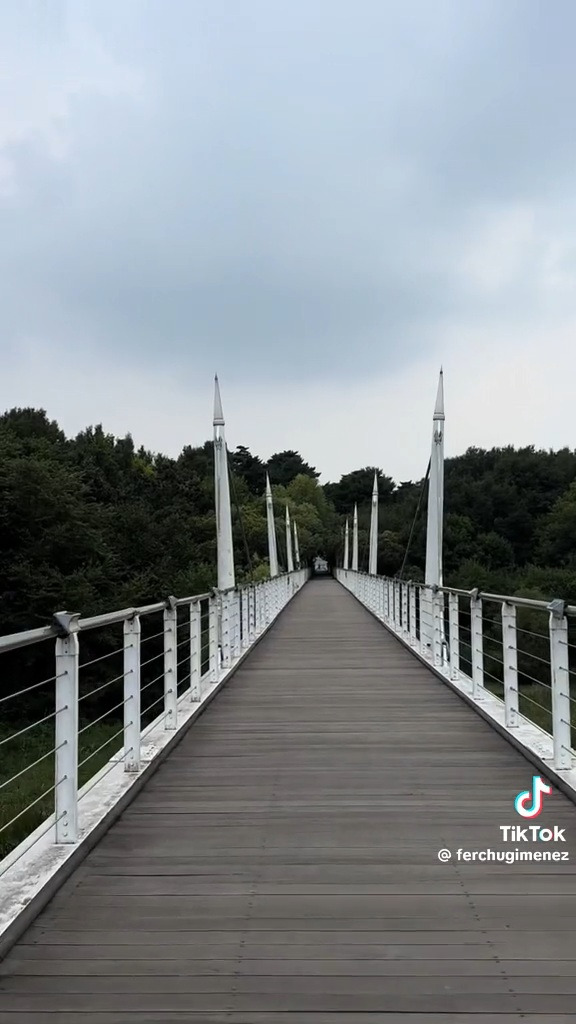 한국여행와서 야무지게 먹고간 900만 팔로워 틱톡커 .JPG | 인스티즈