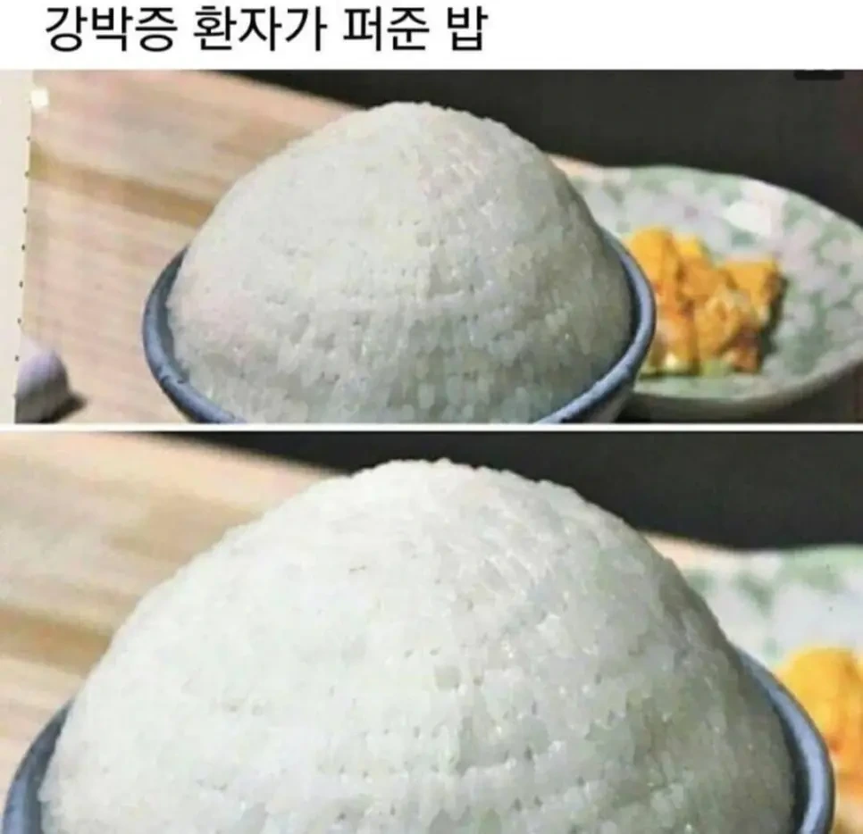 강박증환자가 퍼준 밥 | 인스티즈