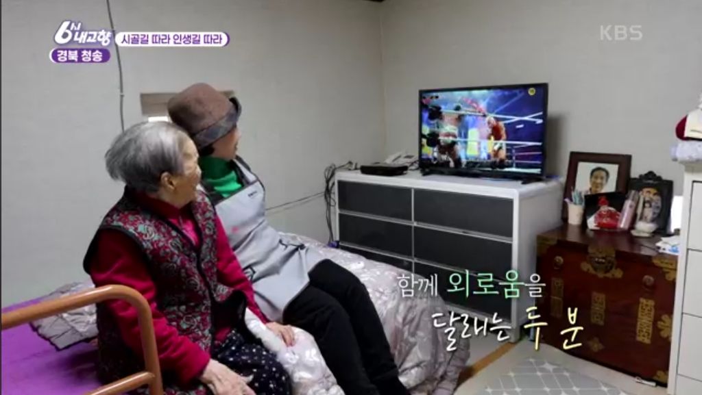 레슬링 즐겨보신다는 86세 할머니 | 인스티즈